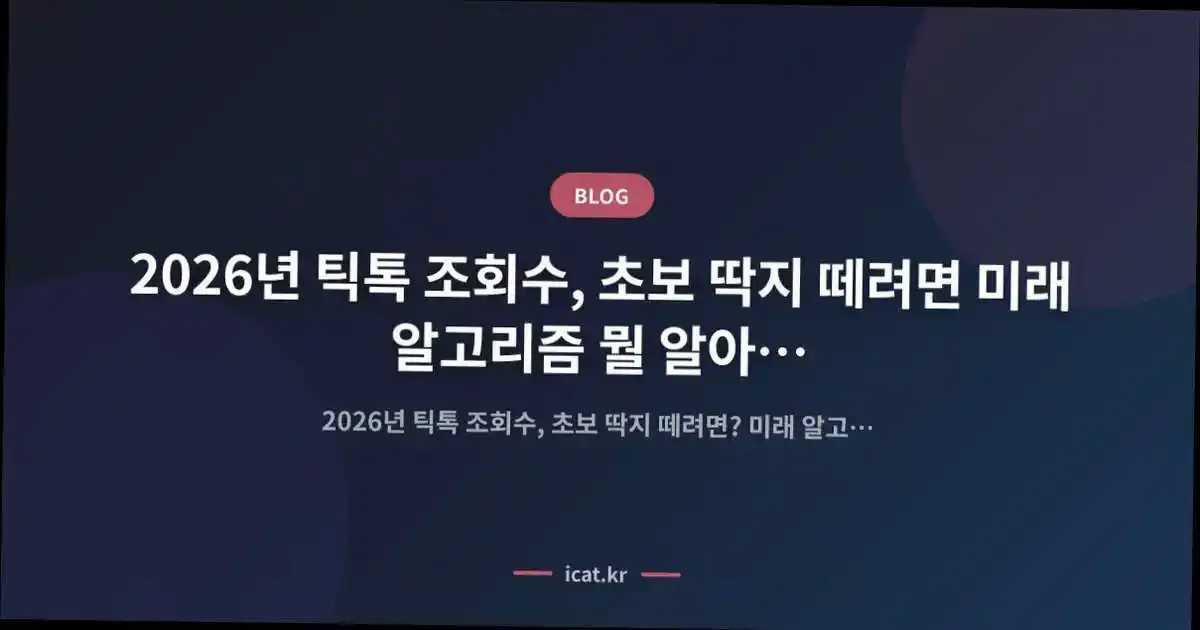 2026년 틱톡 조회수, 초보 딱지 떼려면 미래 알고리즘 뭘 알아야 할까요?