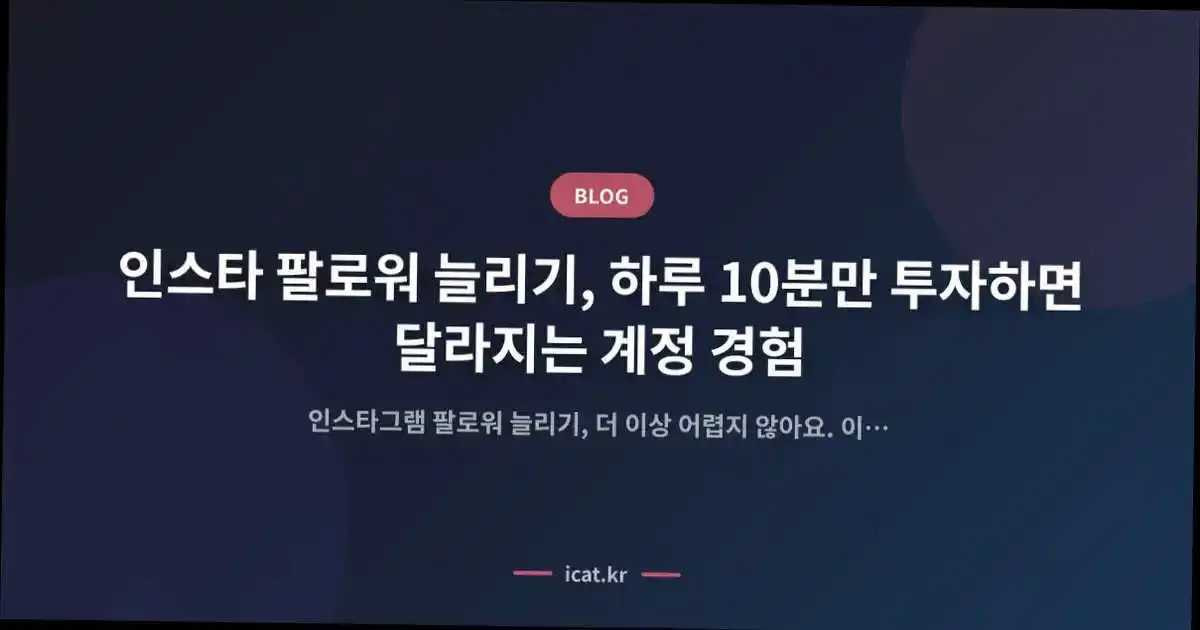 인스타 팔로워 늘리기, 하루 10분만 투자하면 달라지는 계정 경험