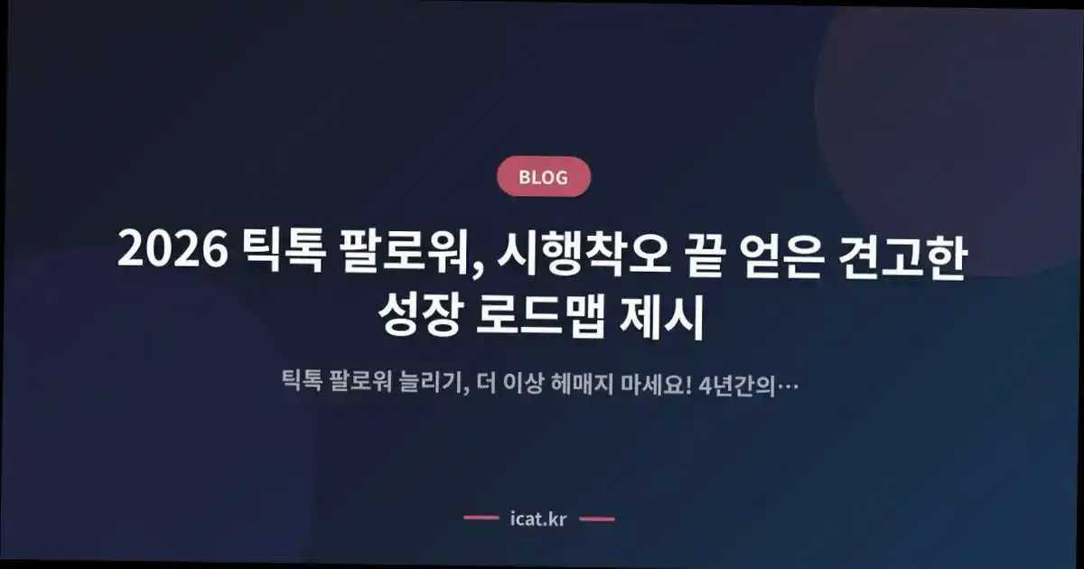 2026 틱톡 팔로워, 시행착오 끝 얻은 견고한 성장 로드맵 제시