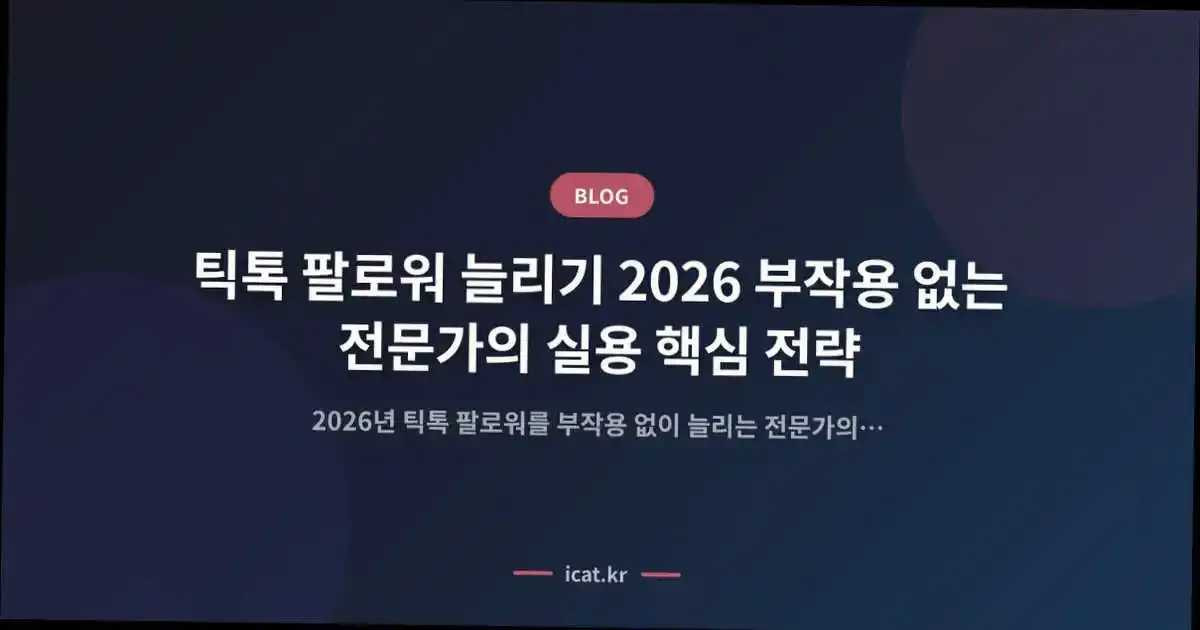 틱톡 팔로워 늘리기 2026 부작용 없는 전문가의 실용 핵심 전략