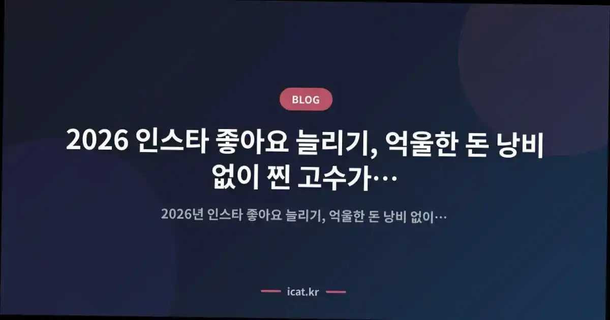 2026 인스타 좋아요 늘리기, 억울한 돈 낭비 없이 찐 고수가 알려주는 실전 해법