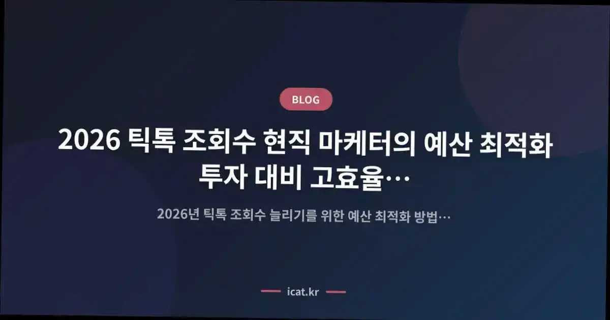 2026 틱톡 조회수 현직 마케터의 예산 최적화 투자 대비 고효율 원칙