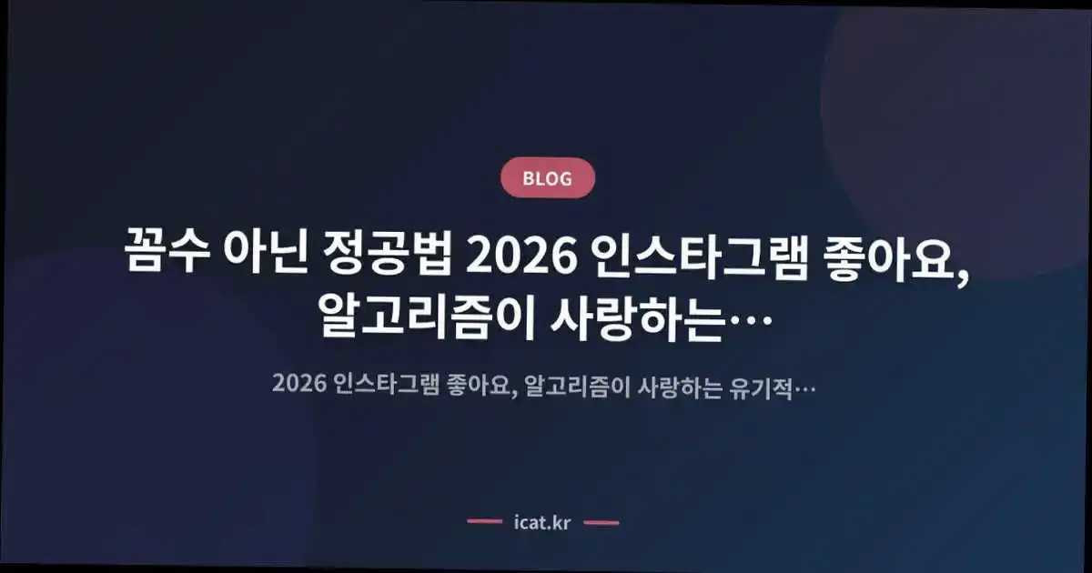 꼼수 아닌 정공법 2026 인스타그램 좋아요, 알고리즘이 사랑하는 유기적 성장 비결
